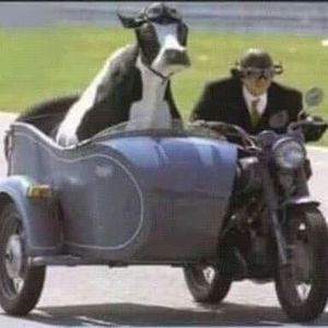 Meet your Posher, Ron